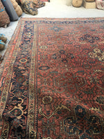 [vintage rugs] - Blue Parakeet Rugs
