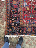 [vintage rugs] - Blue Parakeet Rugs