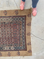 4'6" x 10' Antique Persian Camel Hair rug #1925C / 5x10 Vintage Rug - Blue Parakeet Rugs