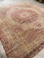 10’3 x 11’6 Antique floral design Kerman Lavar rug #1970ML / 10x12 Vintage rug - Blue Parakeet Rugs