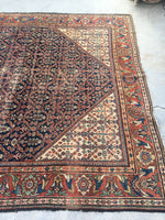 [vintage rugs] - Blue Parakeet Rugs