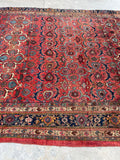 7'10 x 13' Antique Persian Iron rug Bidjar #2234 / 8x13 Vintage Rug - Blue Parakeet Rugs