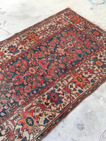 [vintage rugs] - Blue Parakeet Rugs