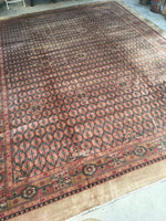 11’10 x 15’1 Antique Camel hair rug / 12x15 antique rug (#1273) - Blue Parakeet Rugs