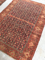4’3 x 6’1 Antique Persian Senneh (#1383) - Blue Parakeet Rugs