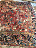 [vintage rugs] - Blue Parakeet Rugs