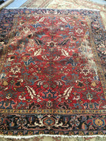 [vintage rugs] - Blue Parakeet Rugs