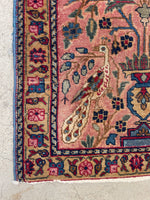2’4 x 4’9 Peacock scatter rug #2424 / Antique Oriental Rug Runner - Blue Parakeet Rugs