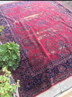 8’9 x 11’6 Turkish Sparta Rug - Blue Parakeet Rugs