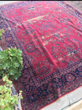 8’9 x 11’6 Turkish Sparta Rug - Blue Parakeet Rugs