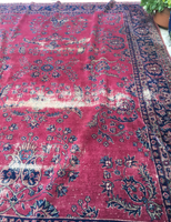 8’9 x 11’6 Turkish Sparta Rug - Blue Parakeet Rugs