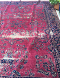 8’9 x 11’6 Turkish Sparta Rug - Blue Parakeet Rugs