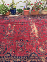 8’9 x 11’6 Turkish Sparta Rug - Blue Parakeet Rugs