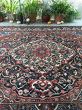 10’9 x 13’1 Antique Persian Bakhtiari rug (#1382) - Blue Parakeet Rugs