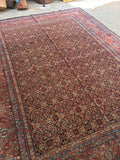8’4 x 11’5 Antique Persian Mashhad rug (#1315) - Blue Parakeet Rugs