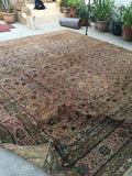 10’7 x 11’7 square Persian Kerman rug / 11x12 large vintage rug (#1312) - Blue Parakeet Rugs
