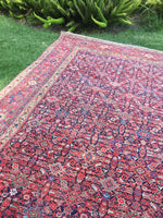 6'4" x 13'5" Antique Mahal Rug - Blue Parakeet Rugs
