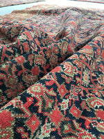 4’3 x 6’1 Antique Persian Senneh (#1383) - Blue Parakeet Rugs