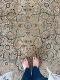 [vintage rugs] - Blue Parakeet Rugs