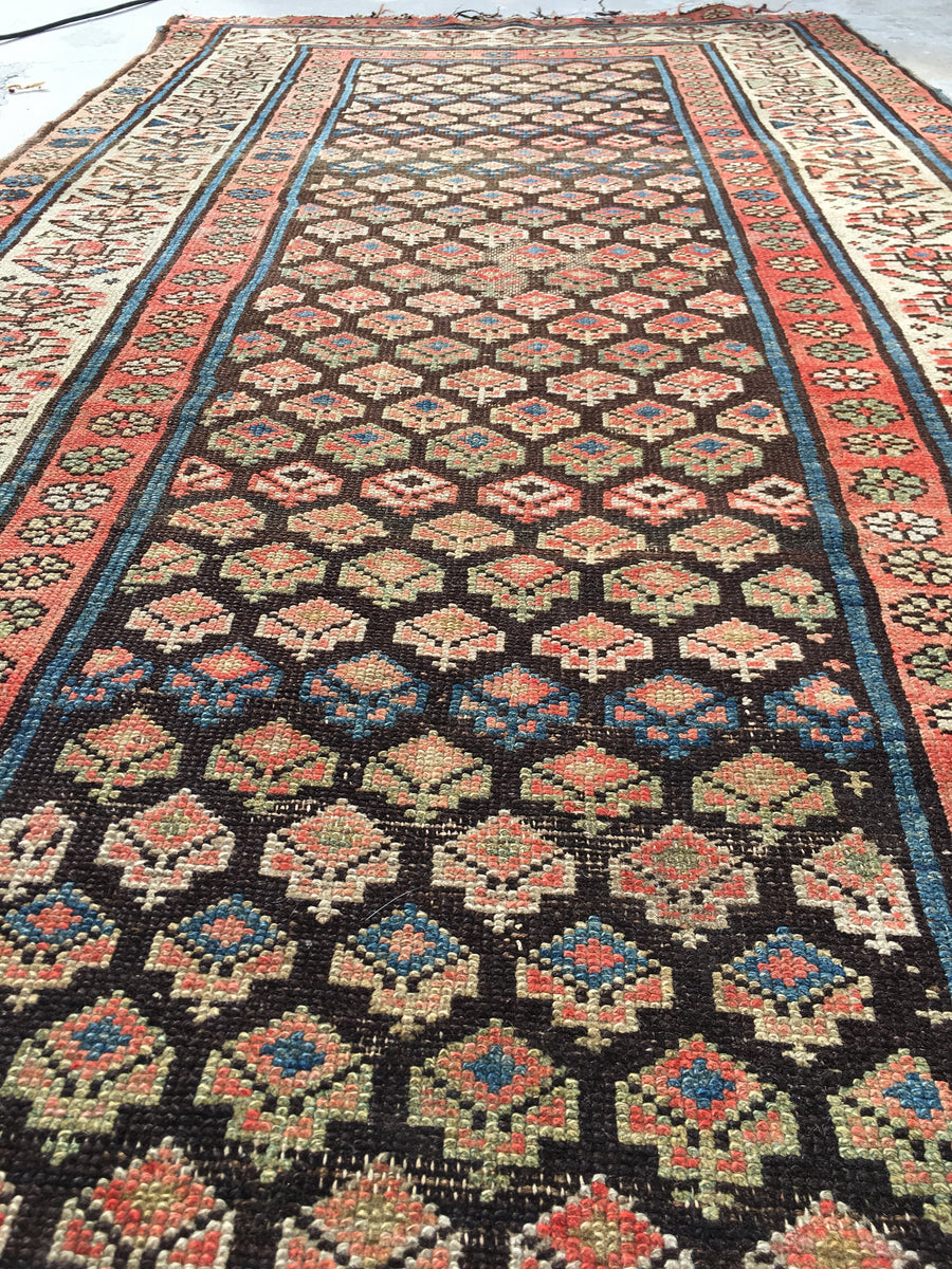 image_79dd063c-21c2-4678-9f46-44c921ab3449_1200x1200.jpg?v=1571334441