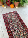 [vintage rugs] - Blue Parakeet Rugs