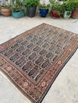 4’3 x 6’2  Antique Persian Senneh #2362 / Small Persian Rug - Blue Parakeet Rugs