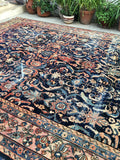 [vintage rugs] - Blue Parakeet Rugs