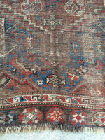 4’8 x 5’9 Persian Shiraz Tribal Rug - Blue Parakeet Rugs