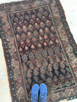 3’8 x 5’7 Antique Kurdish Rug - Blue Parakeet Rugs