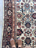 7’5 x 10’1 antique ivory Persian Mahal (#1258) / 8x10 large vintage rug - Blue Parakeet Rugs