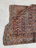 [vintage rugs] - Blue Parakeet Rugs