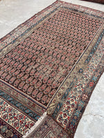 5’5 x 9’8 Worn Antique Persian rug #2500/ 6x10 Vintage Persian rug - Blue Parakeet Rugs
