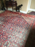 8’8 x 11’5 love worn antique Persian Hamadan rug (#1053) - Blue Parakeet Rugs