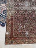 [vintage rugs] - Blue Parakeet Rugs