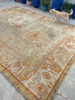 8’1 x 11’1 Antique 19th Century Rug # 2404ML / Large Vintage Rug / Neutral Rug / Beige Rug - Blue Parakeet Rugs