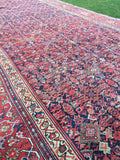 6'4" x 13'5" Antique Mahal Rug - Blue Parakeet Rugs