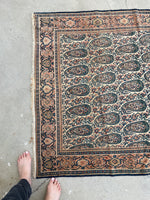 4’3 x 6’2  Antique Persian Senneh #2362 / Small Persian Rug - Blue Parakeet Rugs