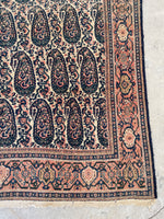 4’3 x 6’2  Antique Persian Senneh #2362 / Small Persian Rug - Blue Parakeet Rugs