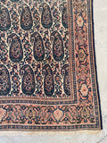 4’3 x 6’2  Antique Persian Senneh #2362 / Small Persian Rug - Blue Parakeet Rugs