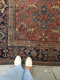 [vintage rugs] - Blue Parakeet Rugs