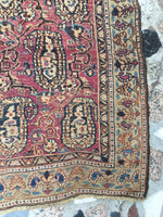 3’4 Square Afshar rug #514 - Blue Parakeet Rugs