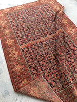 4’3 x 6’1 Antique Persian Senneh (#1383) - Blue Parakeet Rugs
