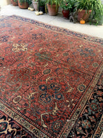 [vintage rugs] - Blue Parakeet Rugs
