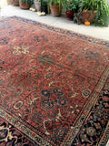 [vintage rugs] - Blue Parakeet Rugs