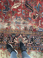 [vintage rugs] - Blue Parakeet Rugs