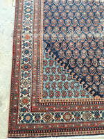 [vintage rugs] - Blue Parakeet Rugs