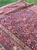 6'4" x 13'5" Antique Mahal Rug - Blue Parakeet Rugs
