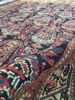 [vintage rugs] - Blue Parakeet Rugs