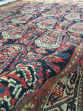[vintage rugs] - Blue Parakeet Rugs