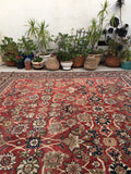 10'5 x 10'5 Antique Persian Mahal Rug - Blue Parakeet Rugs